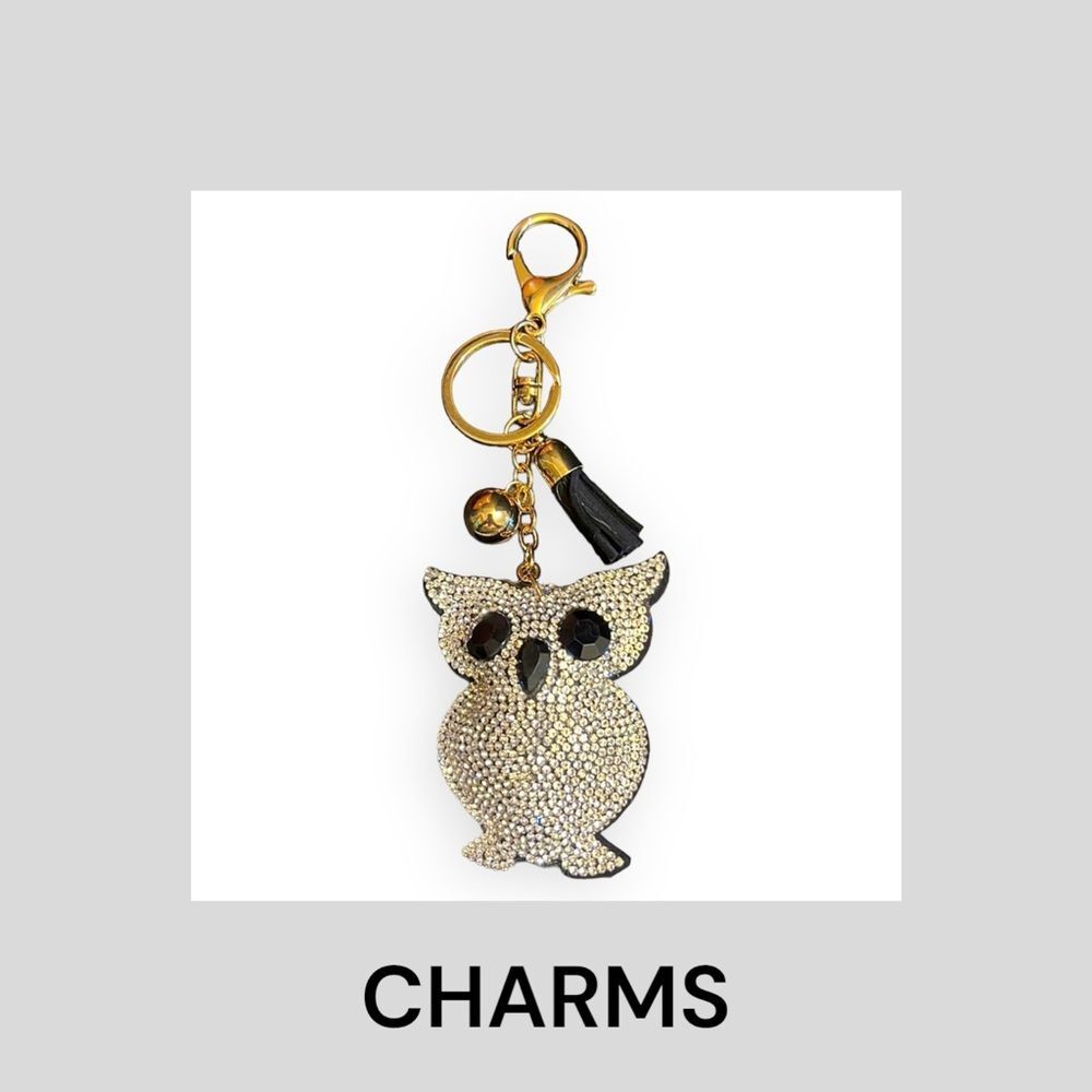 🆕 Owl 🦉 Purse Charm/Keychain